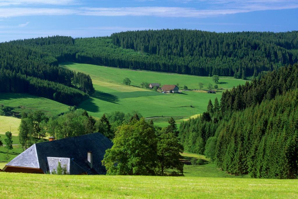 Gaestehaus Waldeck Titisee-Neustadt Eksteriør bilde